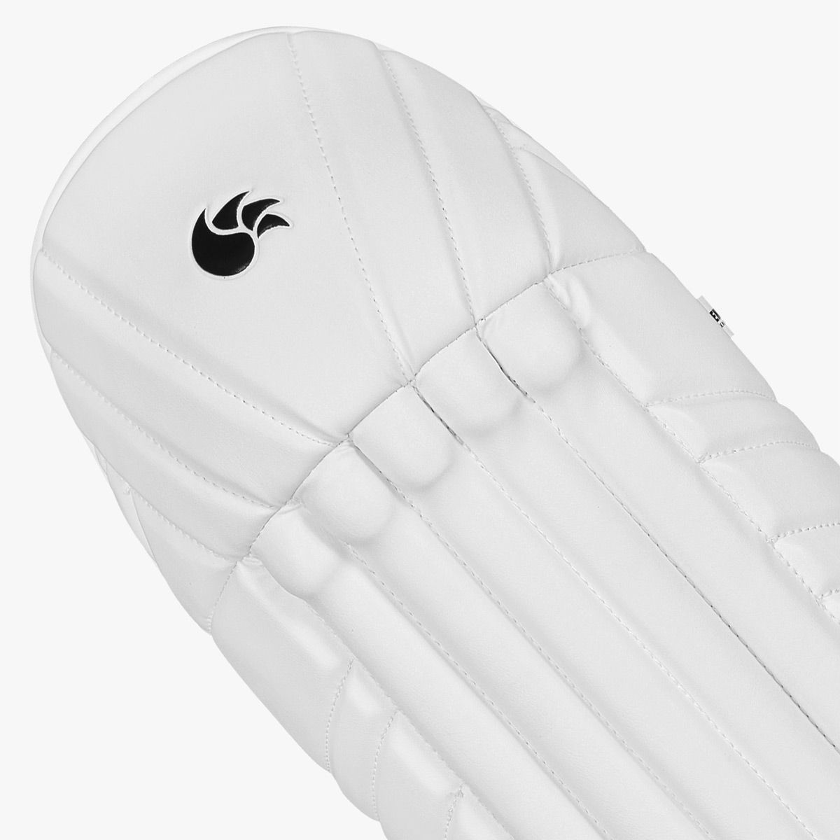 DSC Condor Pro Wicket Keeping Leg Guard